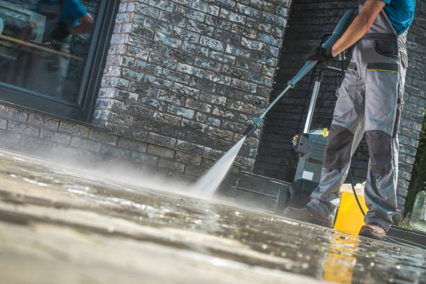 Best Vinyl Siding Pressure Washing in Village Of Waukesha, WI